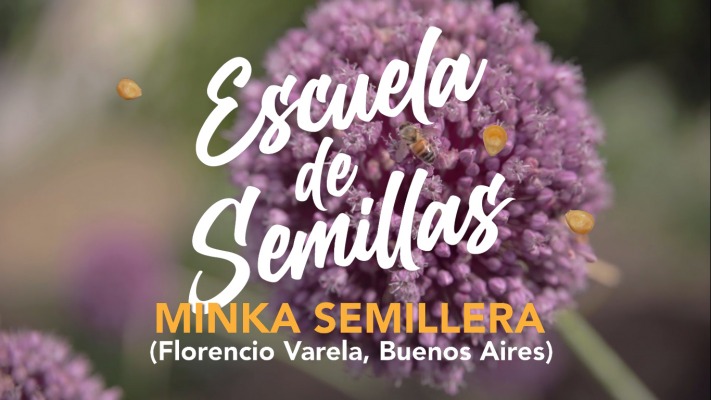 Minka Semillera - Casas de semillas
